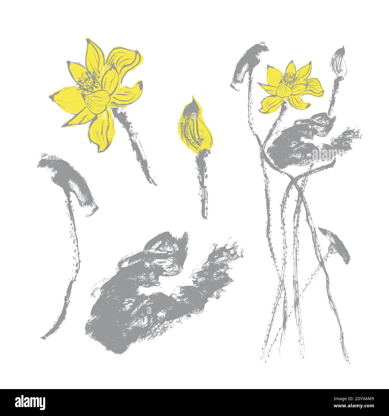 Set di fiori e foglie di loto disegnati a mano nei colori grigio e giallo. Sfondo bianco. Stile acquerello. Vettore stock Illustrazione Vettoriale