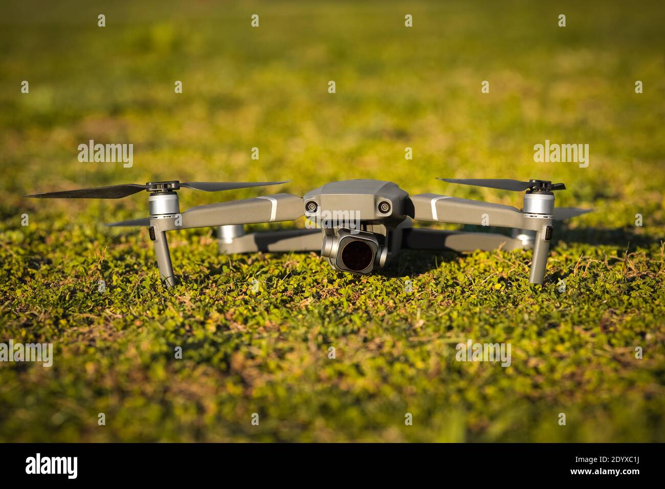 Primo piano di drone grigio scuro isolato su erba verde sfondo Foto Stock