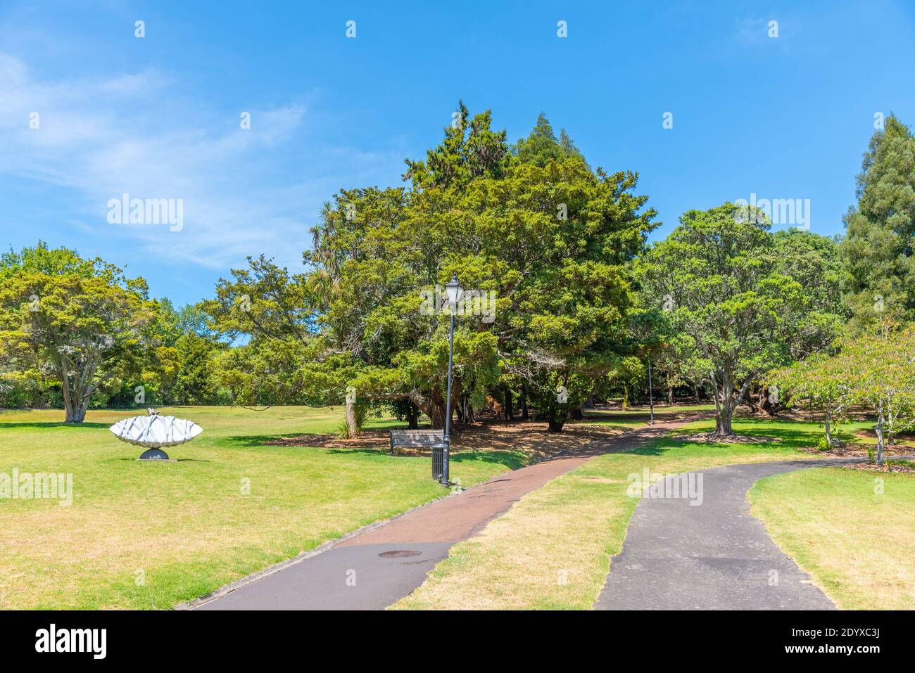 Auckland Domain Park in Nuova Zelanda Foto Stock