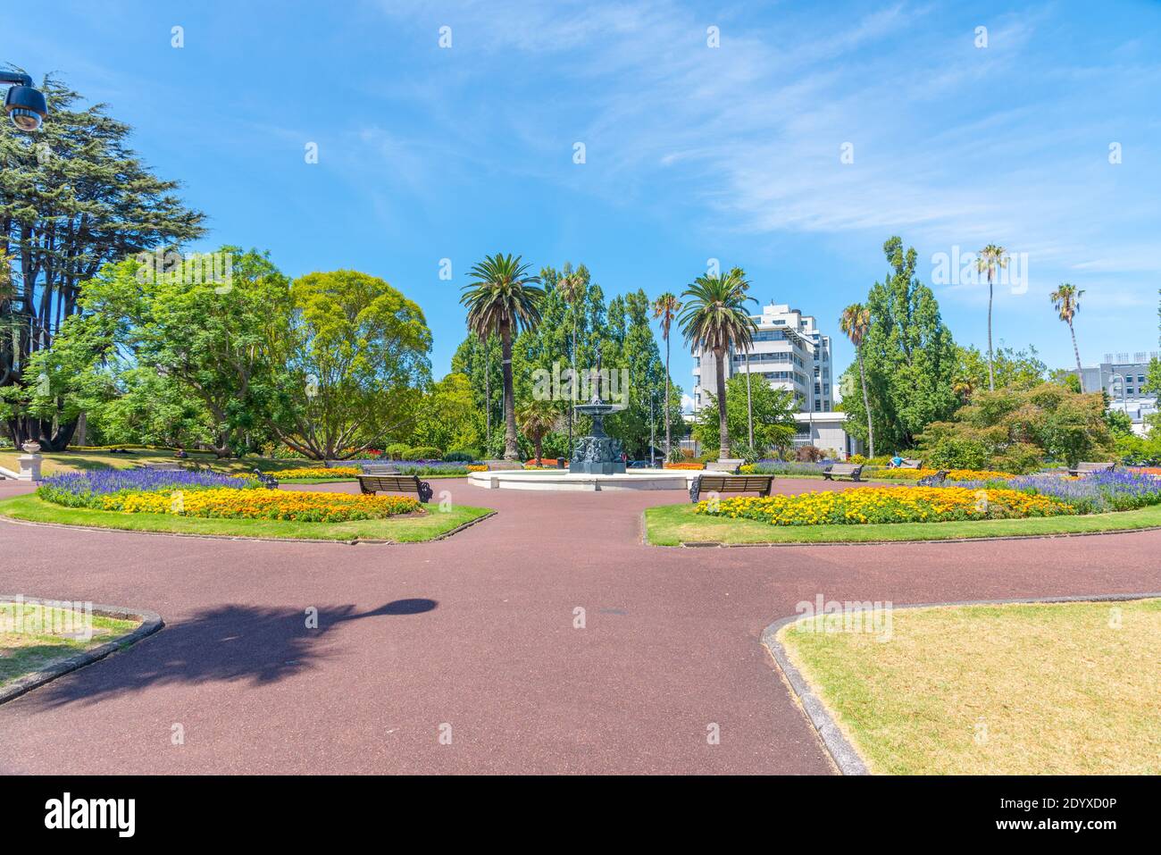 Albert Park a Auckland, Nuova Zelanda Foto Stock