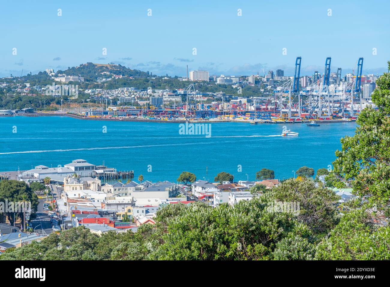 Auckland War Memorial Museum visto dietro il porto di New Zelanda Foto Stock