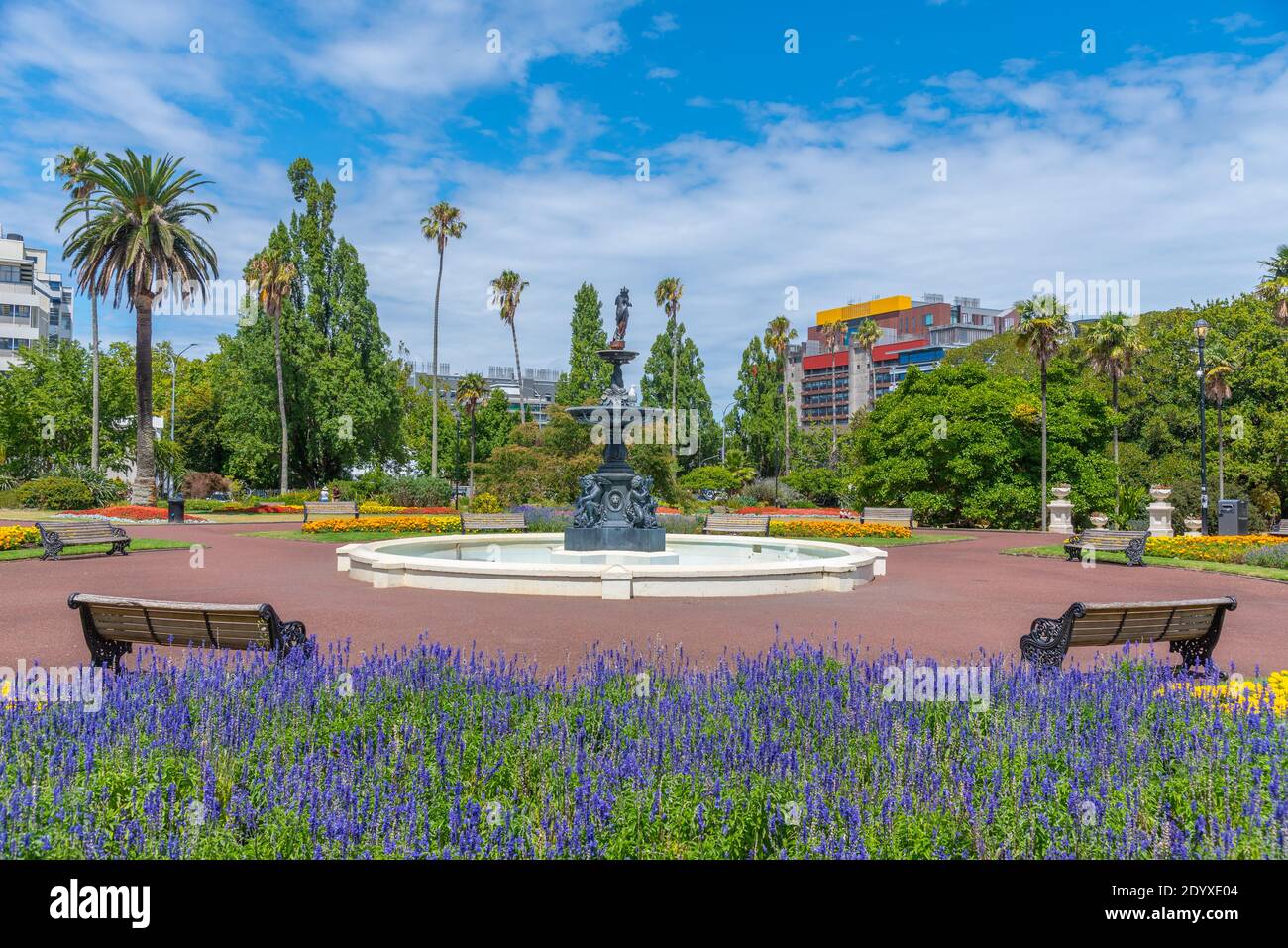 Albert Park a Auckland, Nuova Zelanda Foto Stock