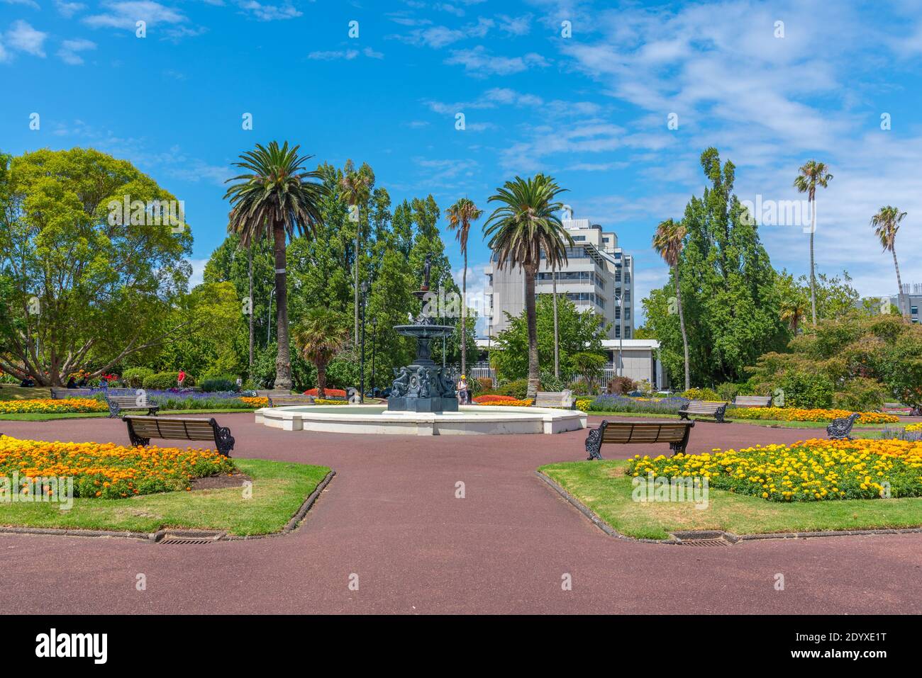 Albert Park a Auckland, Nuova Zelanda Foto Stock