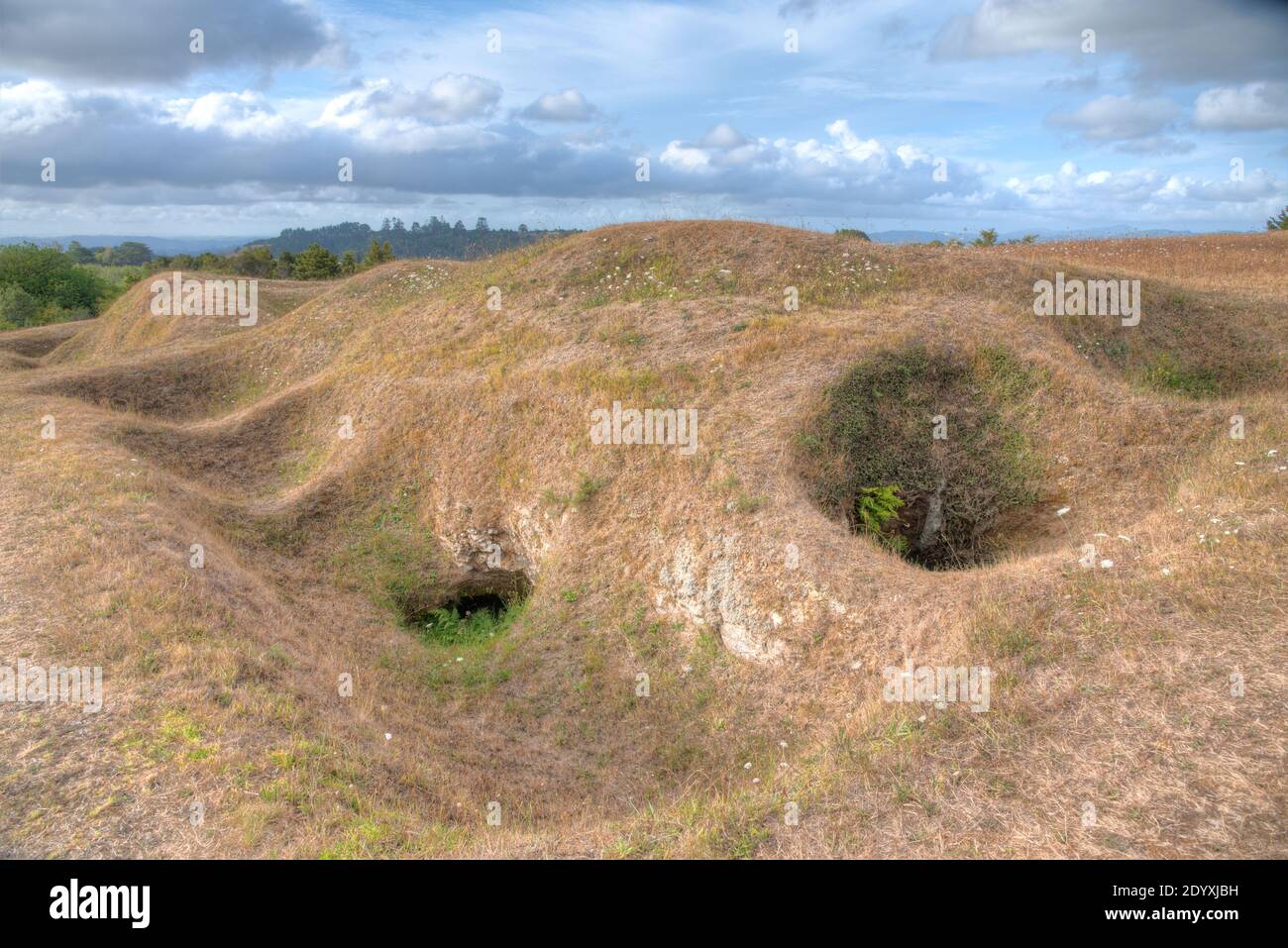 Ruapekapeka pa - rovine di una fortezza maori in New Zelanda Foto Stock