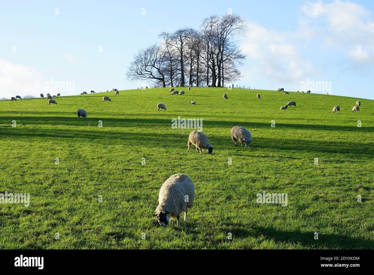 Pinnacle Hill vicino a Great Offley, Hertfordshire Foto Stock