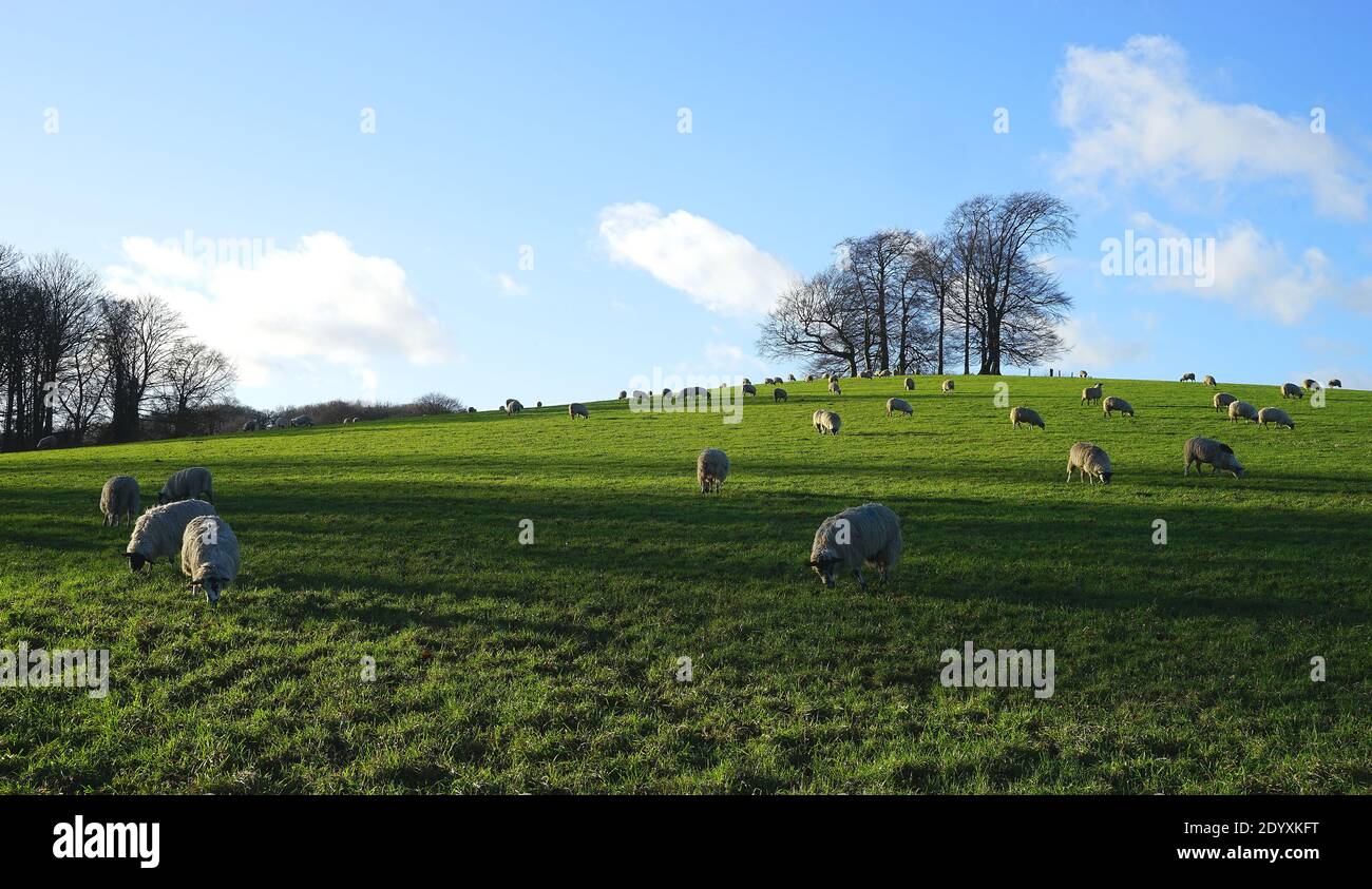 Pinnacle Hill vicino a Great Offley, Hertfordshire Foto Stock