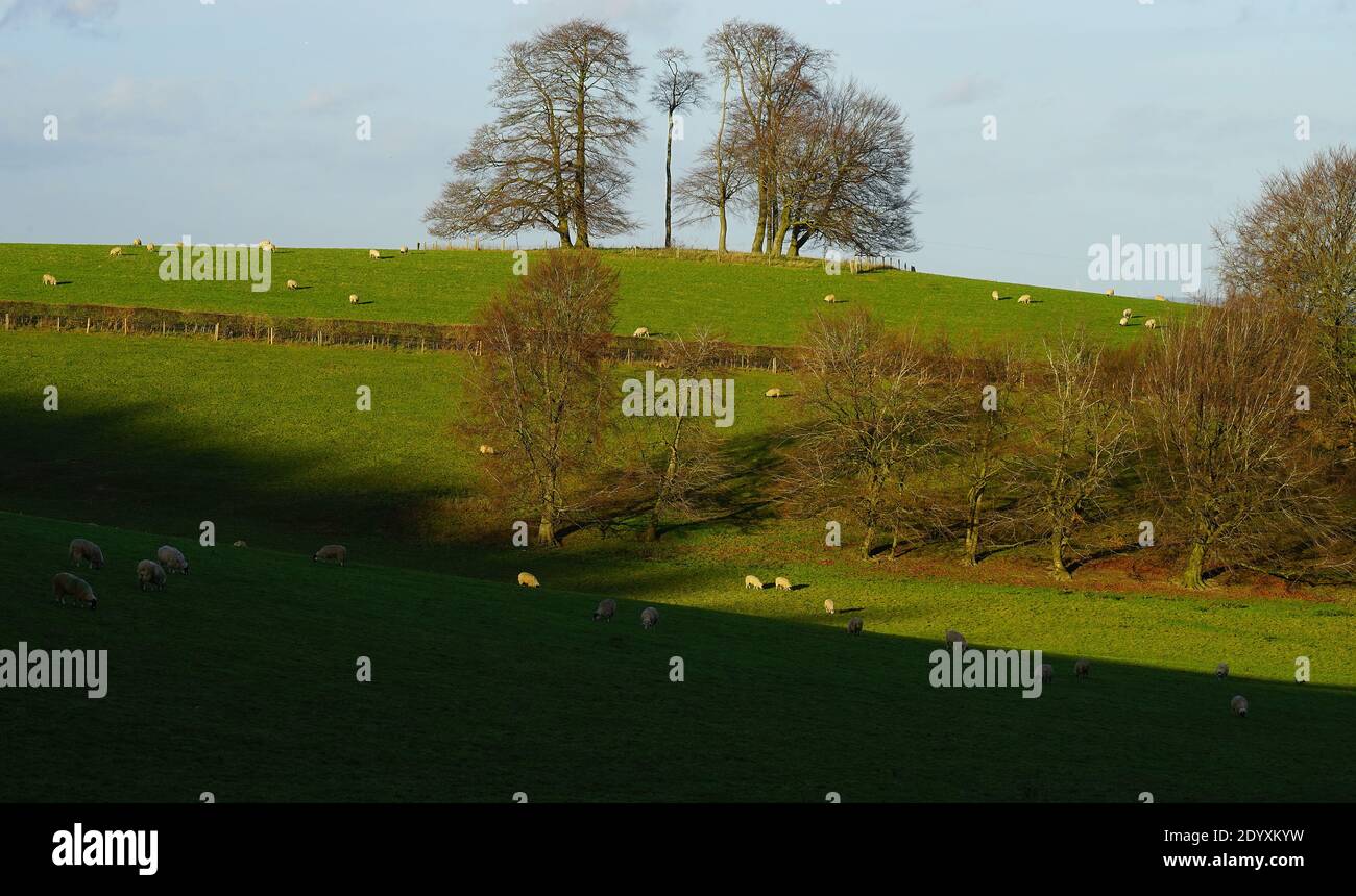 Pinnacle Hill vicino a Great Offley, Hertfordshire Foto Stock