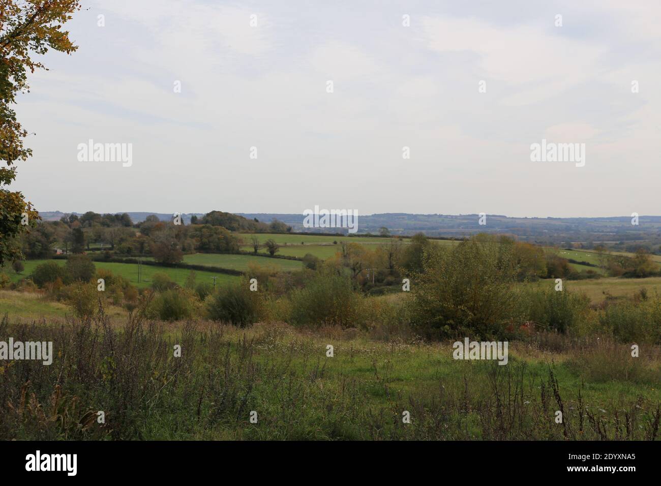Vista sulla campagna rurale nel cuore del Cotswolds Foto Stock