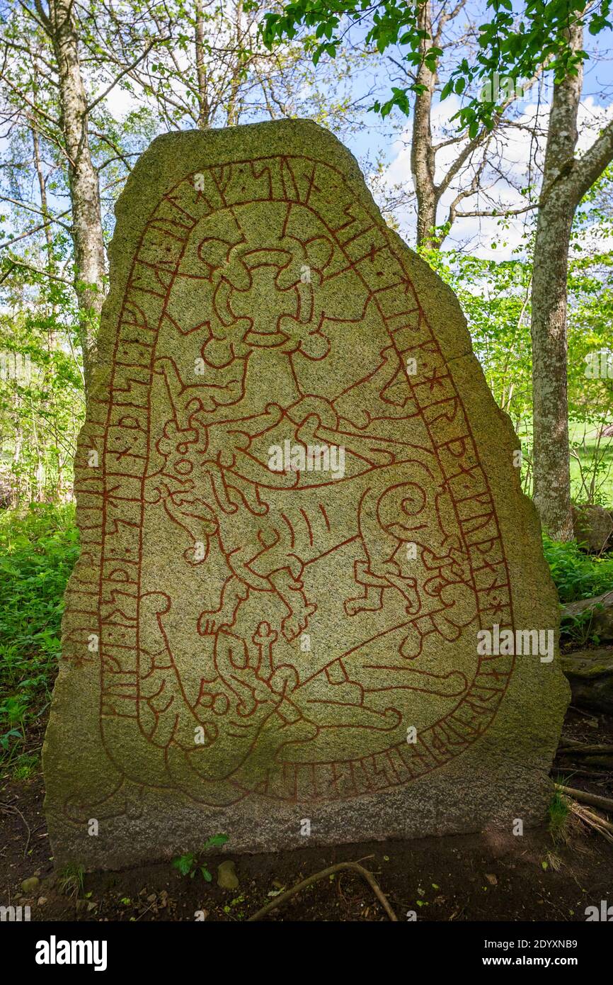 Pietra runica dell'età vichinga con bel ornamento Foto Stock