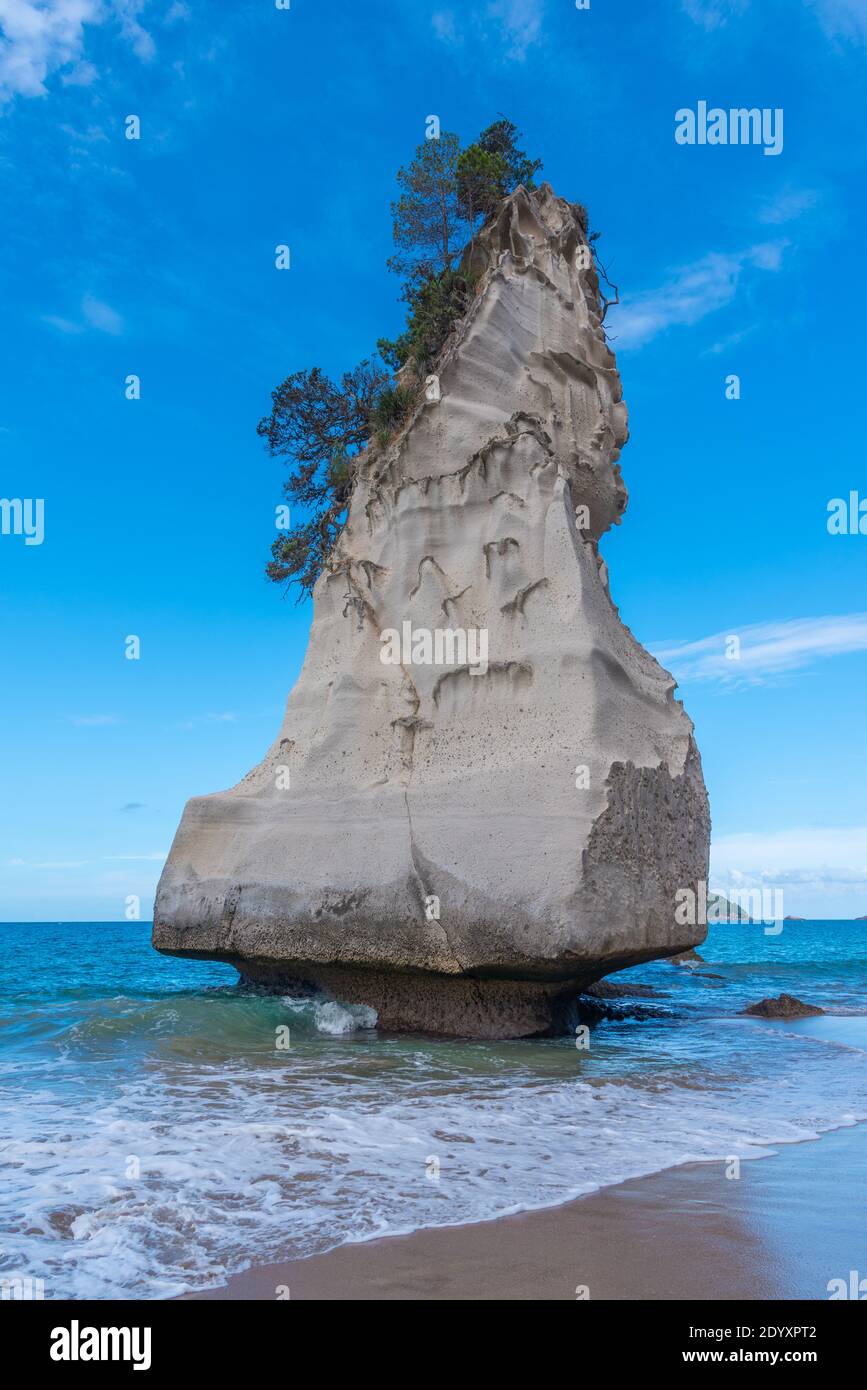 Te Hoho rock nella penisola di Coromandel in Nuova Zelanda Foto Stock