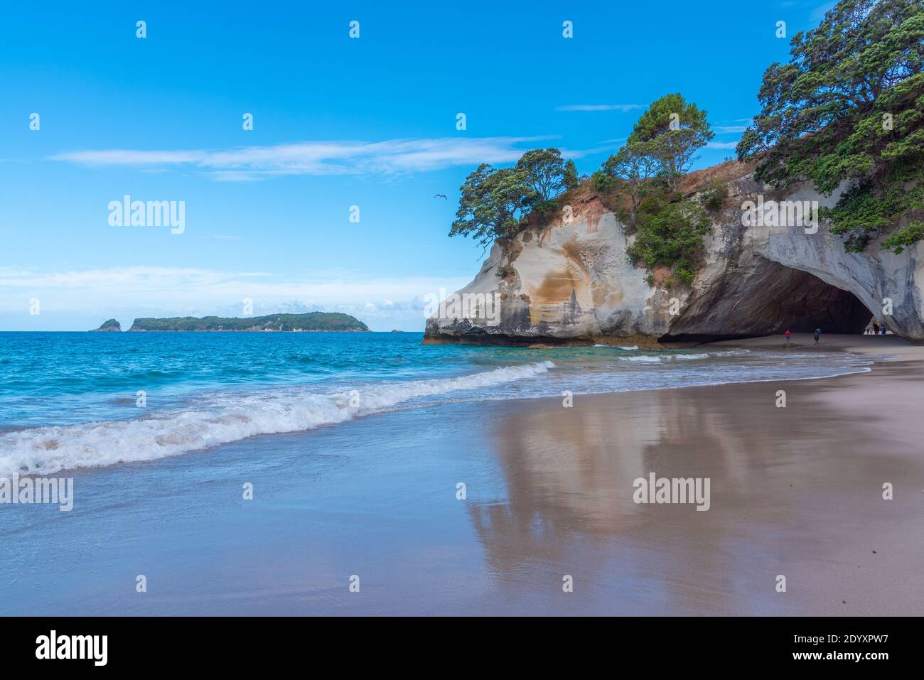 La baia della cattedrale nella penisola di Coromandel in Nuova Zelanda Foto Stock