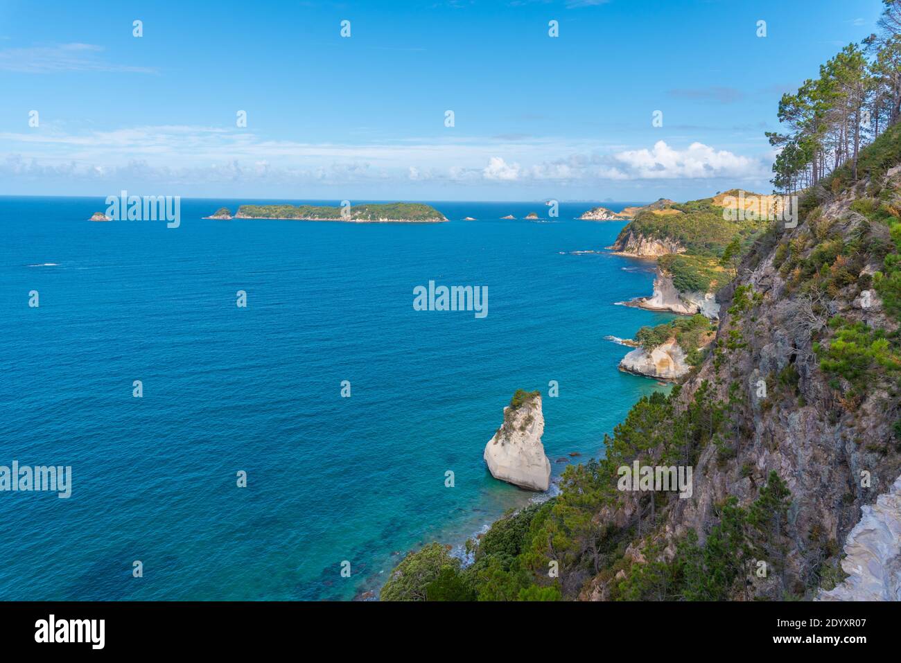 Te Hoho rock nella penisola di Coromandel in Nuova Zelanda Foto Stock