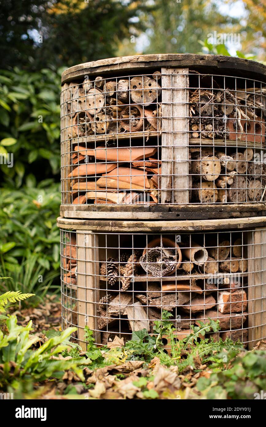 Un uomo ha fatto 'hotel di bug' nei terreni della Bristol University, Bristol, Regno Unito. Foto Stock