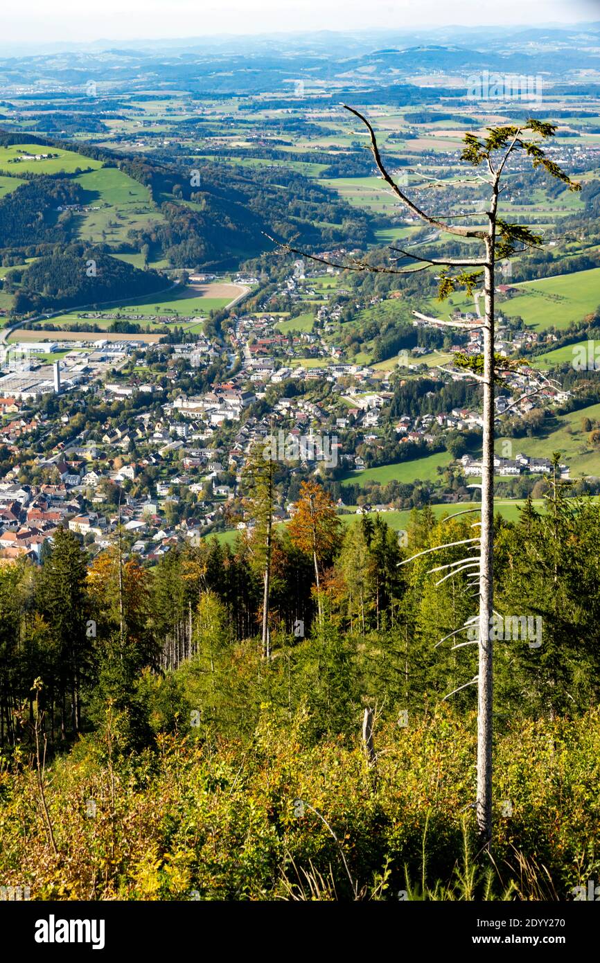 Österreich, Niederösterreich, Scheibbs, Blick vom Greinberg auf die Stadt Foto Stock