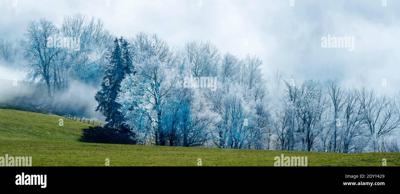 Österreich, Niederösterreich, Scheibbs, Landschaft am Blassenstein Foto Stock