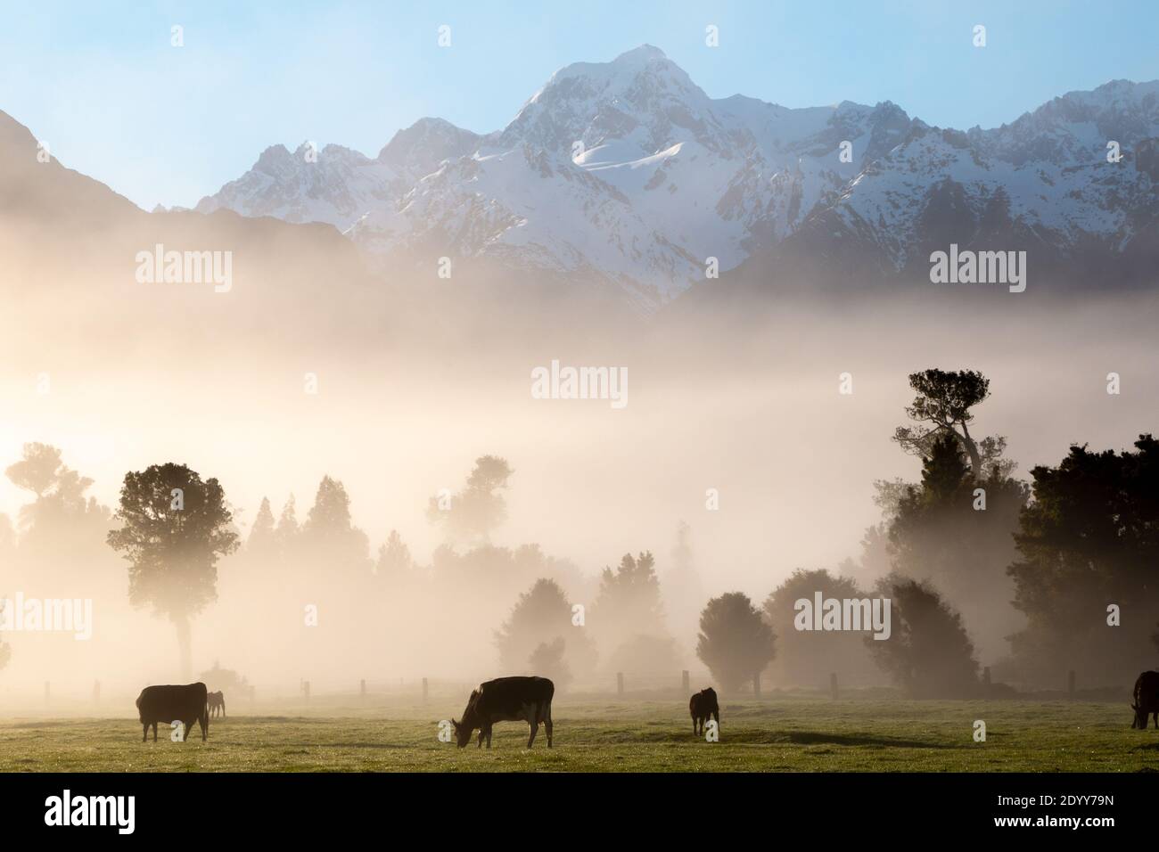 Nebbia mattutina sulla costa occidentale della Nuova Zelanda, Alpi meridionali, nel Parco Nazionale di Westland Tai Poutini con vista sul Monte Tasman (Horokoau) Foto Stock