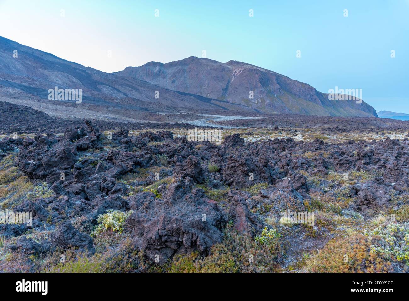 Monte Tongariro al parco nazionale di Tongariro in Nuova Zelanda Foto Stock