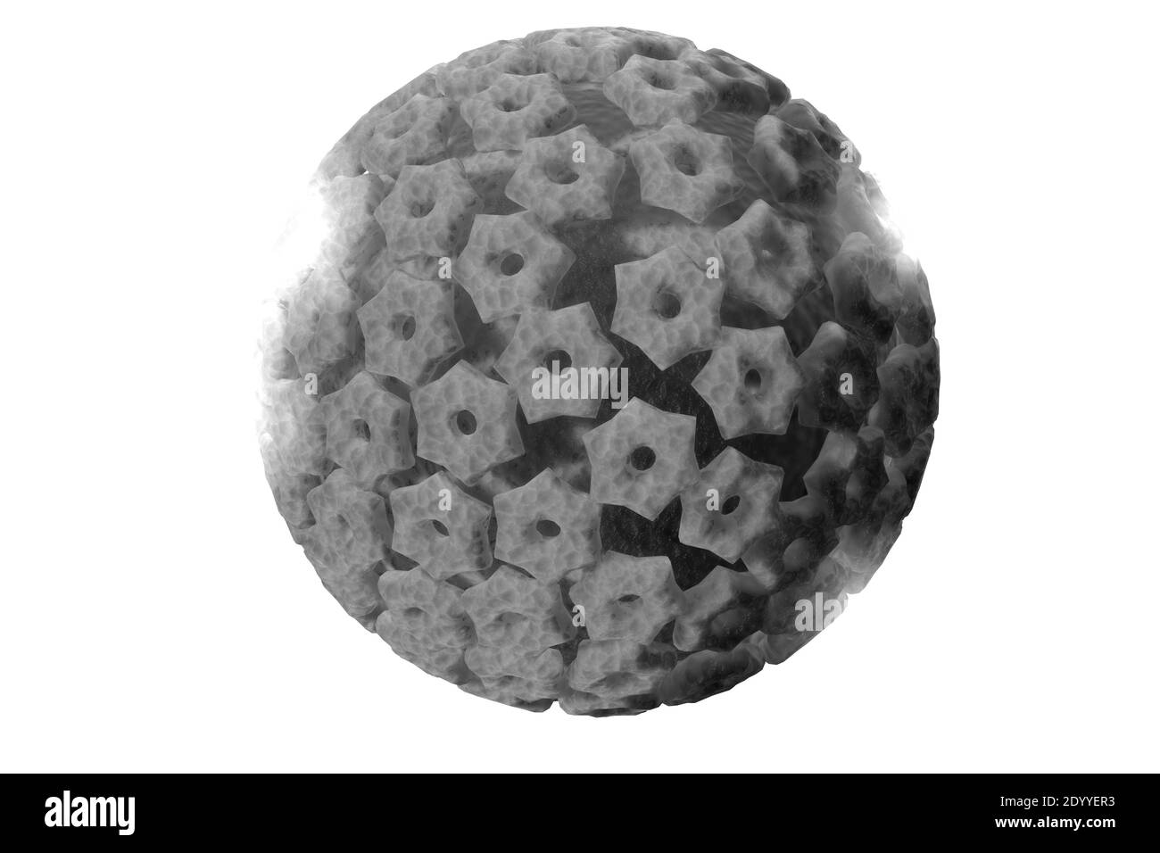 Malattia infettiva herpes simplex virus cellule concettuali 3D illustrazione Foto Stock