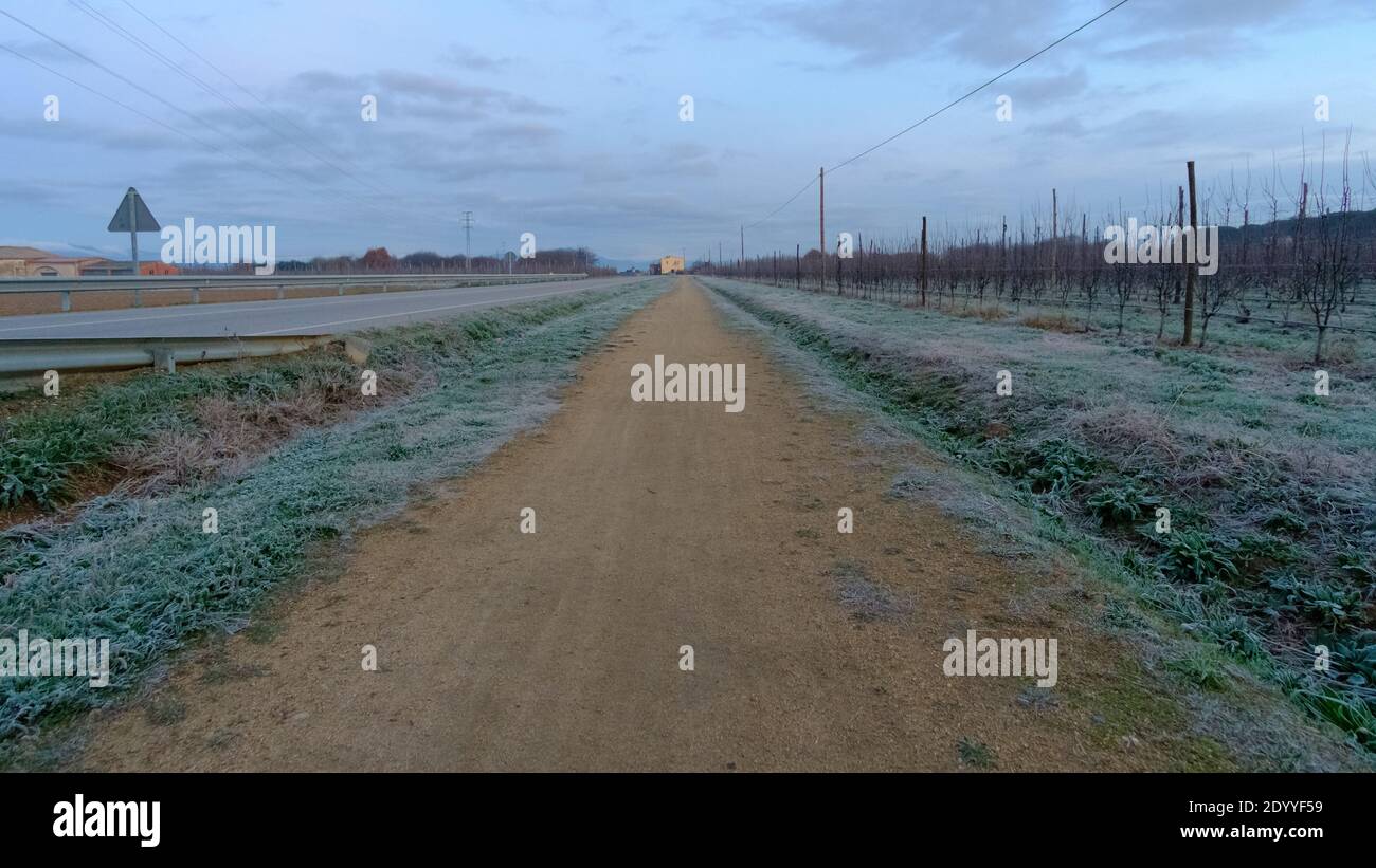 Strada in ghiaia dritta su un freddo paesaggio invernale un'alba crepuscolo Foto Stock