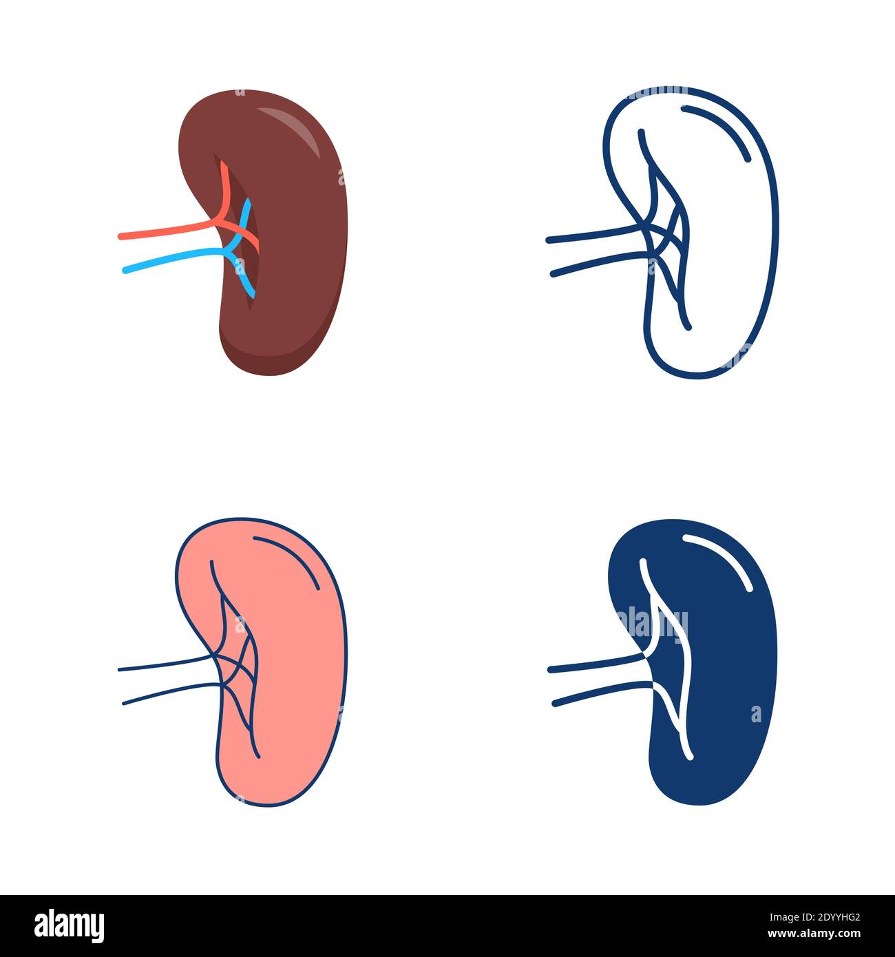 Icona della milza impostata in stile piatto e linea. Simbolo dell'organo interno umano. Illustrazione vettoriale. Illustrazione Vettoriale