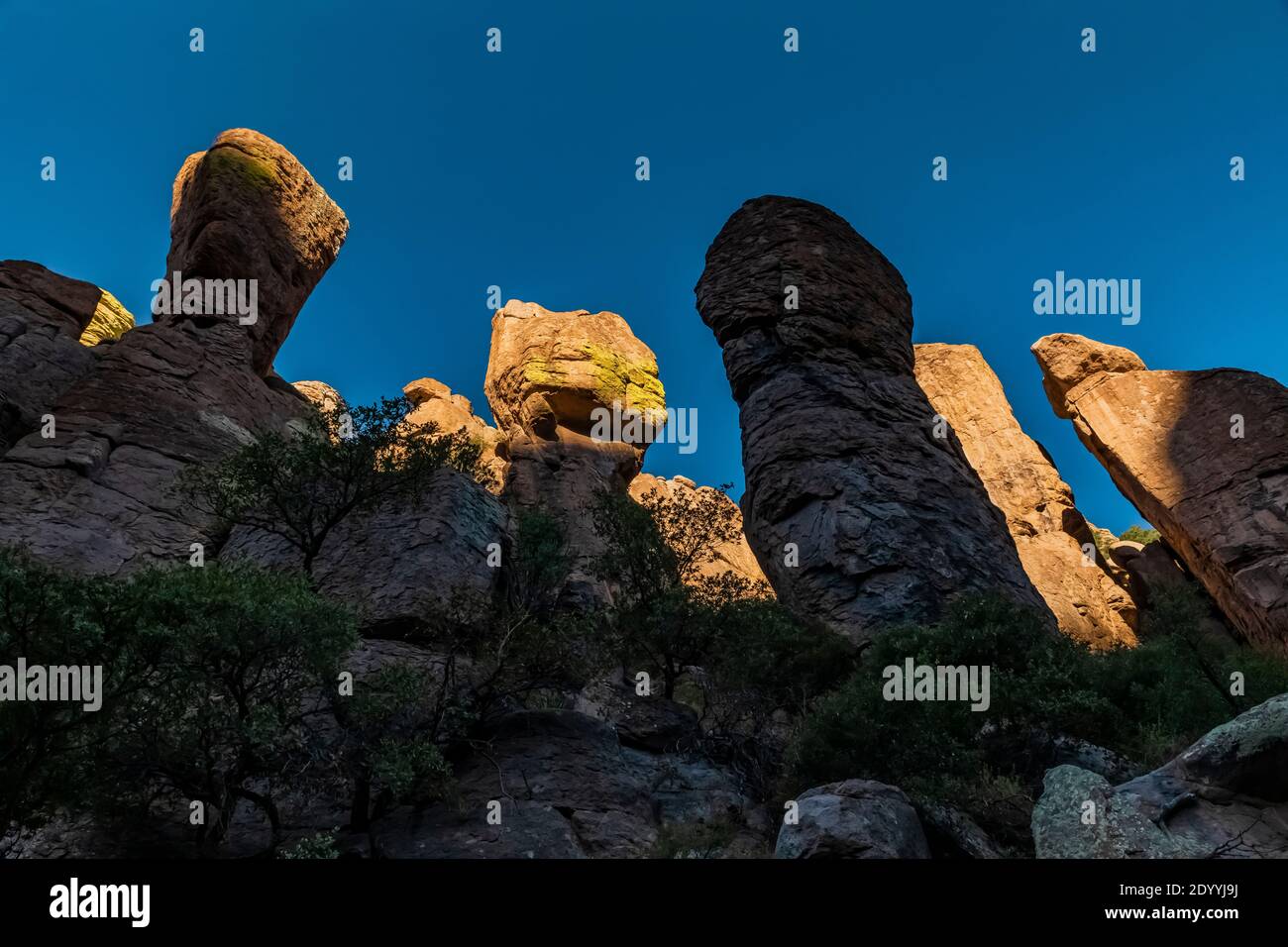 Pinnacoli di roccia fatti di eroded vulcanic rhyolite in Chiricahua National Monument, Arizona, Stati Uniti Foto Stock