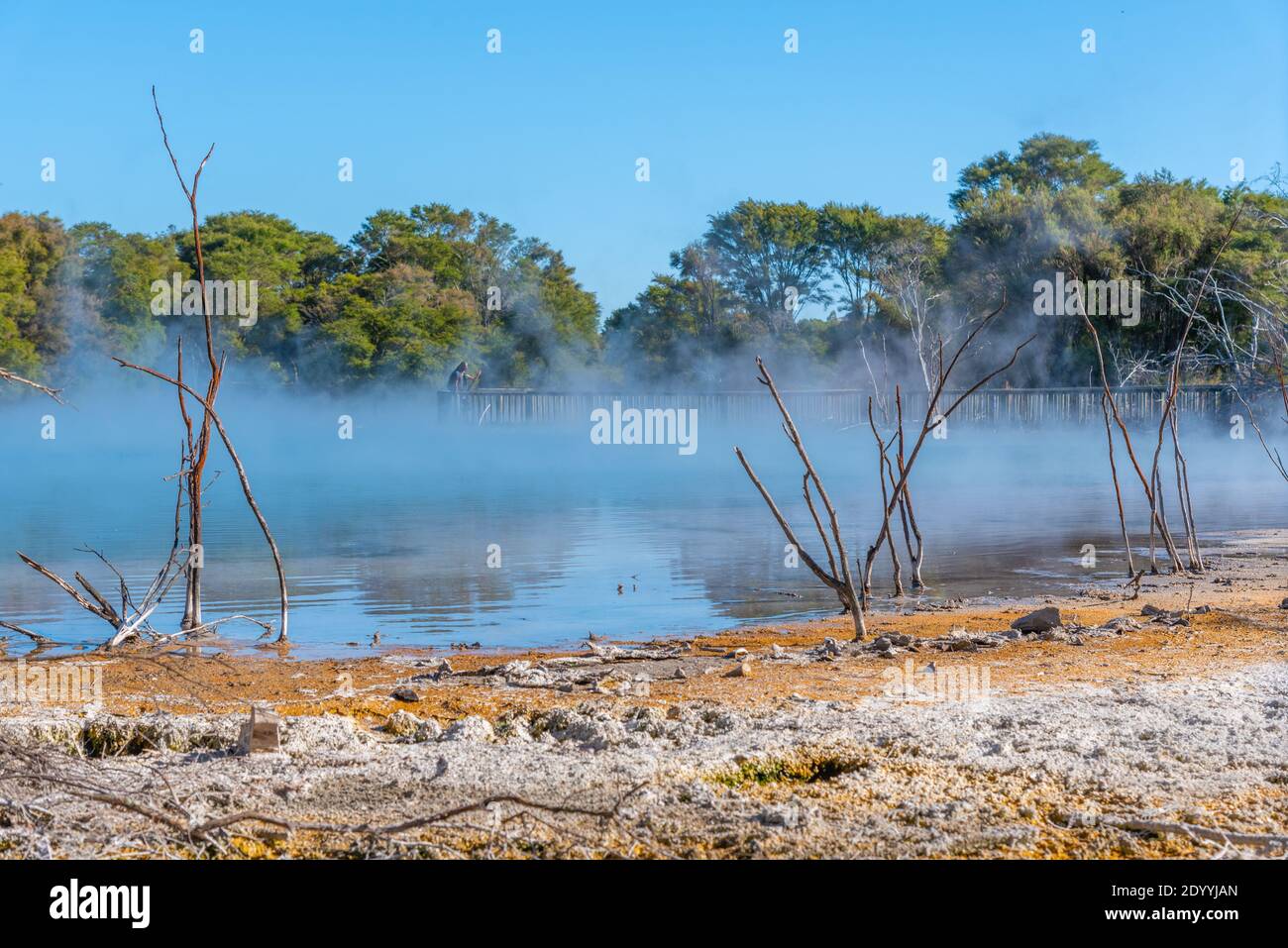 Stagno geotermico al parco di Kuirau a Rotorua, Nuova Zelanda Foto Stock