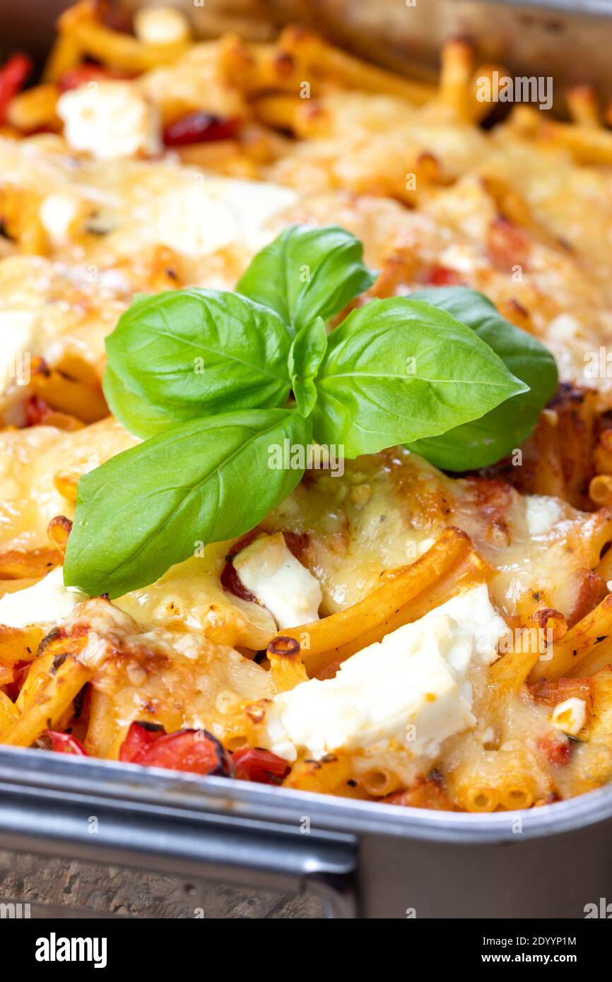 pasta italiana con formaggio e basilico Foto Stock
