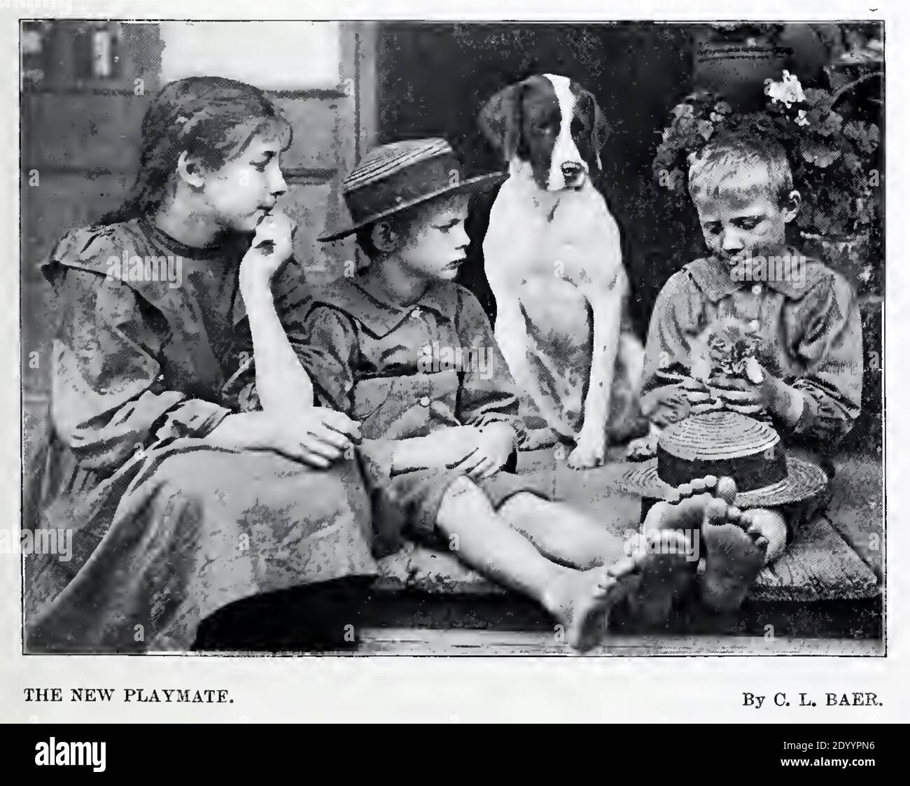 Fotografia d'epoca di C L Baer di un ragazzino che tiene un gattino mentre due ragazze e un cane da compagnia guardano sopra. Foto Stock