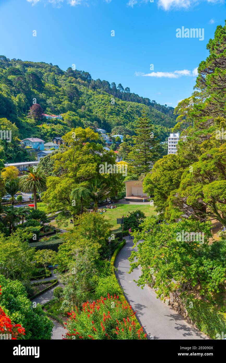 Piante colorate nel giardino botanico di Wellington in Nuova Zelanda Foto Stock
