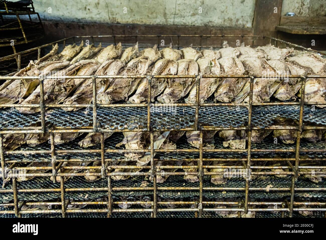 Yasuhisa Serizawa Katsuobushi della fabbricazione in Nishiizu-Cho, Shizuoka, Giappone Foto Stock