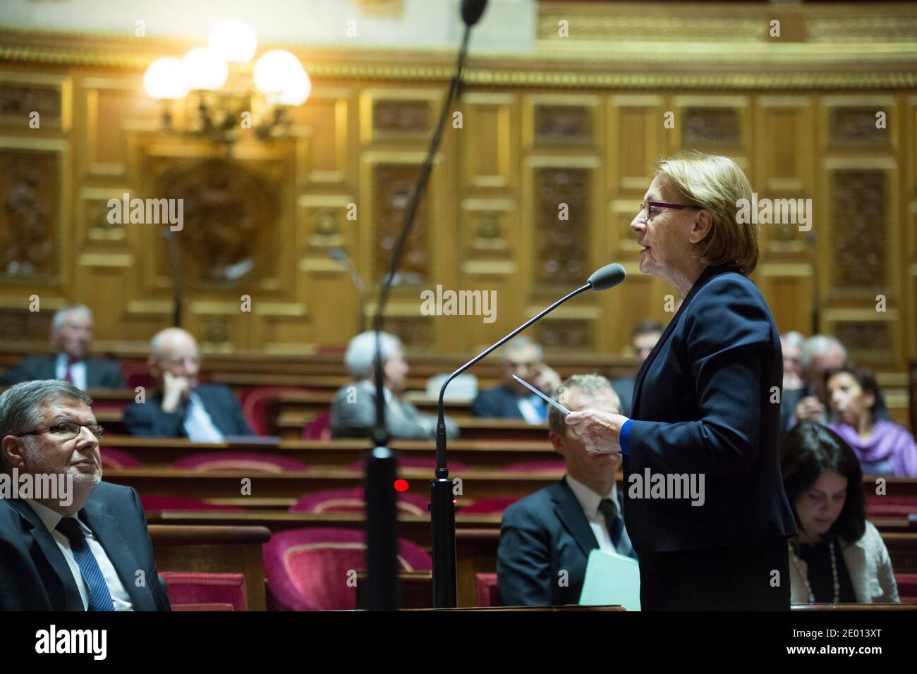 Ministro per la riforma dello Stato, il decentramento e la pubblica amministrazione, Marylise Lebranchu ha raffigurato durante il tempo delle interrogazioni (QAG) al senato, il 14 novembre 2013, a Parigi, Francia. Foto di Romain boe/ABACAPRESS.COM Foto Stock