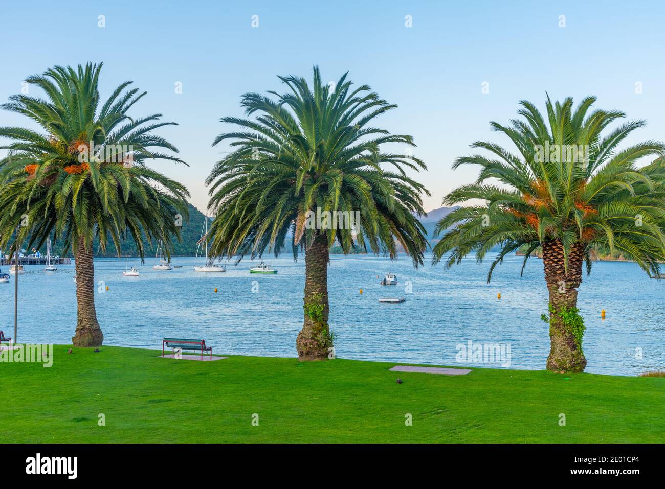 Vista al tramonto del parco commemorativo di Picton in Nuova Zelanda Foto Stock