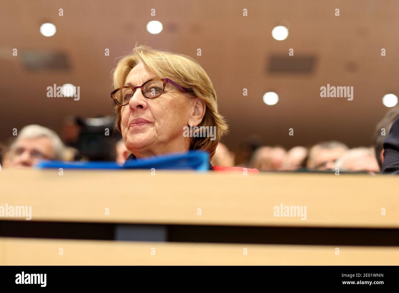 Ministro francese per la riforma dello Stato, il decentramento e la pubblica amministrazione, Marylise Lebranchu, durante un incontro incentrato sul patto per il futuro della britainia francese, il 13 dicembre 2013 a Rennes, nella Francia occidentale. Il primo ministro francese ha annunciato che l'istituto di ricerca francese per lo sfruttamento del mare (Ifremer) sarà trasferito dalla regione di Parigi a Brest. Foto di Julien Ermine/ABACAPRESS.COM Foto Stock