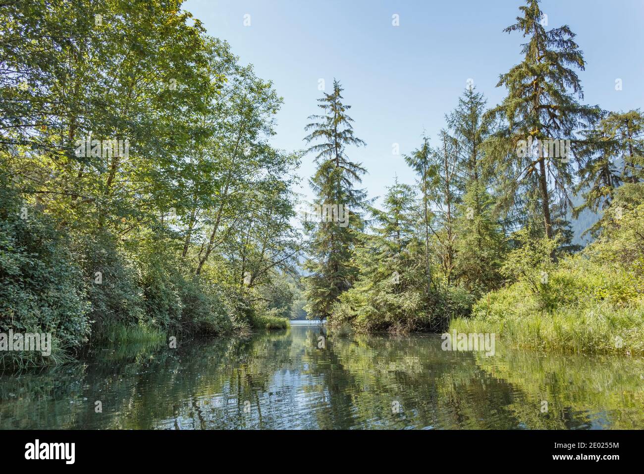 Le acque blu e il cielo incontrano vegetazione lussureggiante e alberi sulle rive dell'estuario del fiume Tzoonie, un'area selvaggia nella British Columbia (estate). Foto Stock