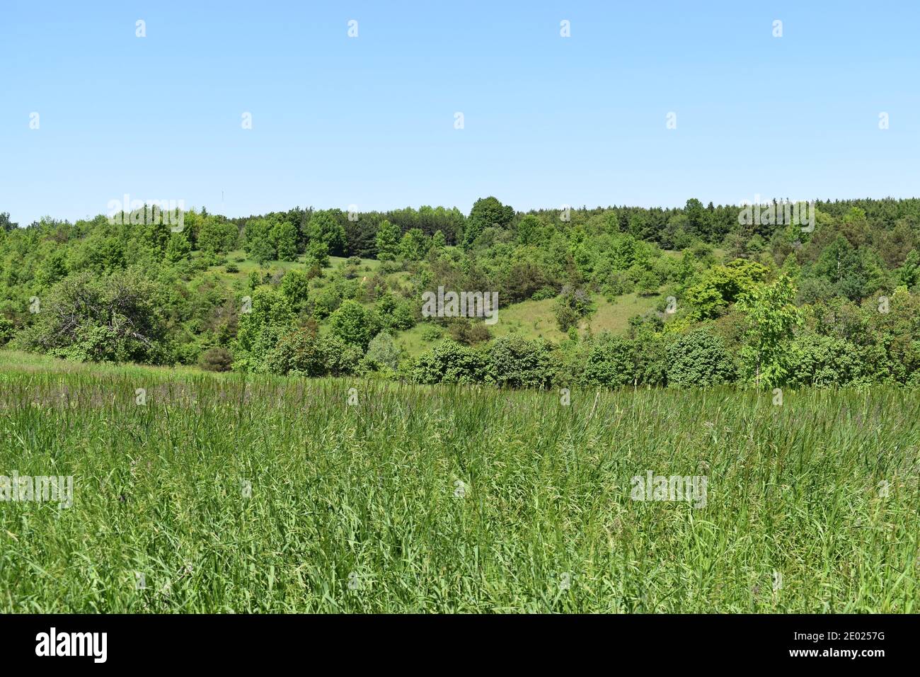 Godetevi il magnifico paesaggio verde Foto Stock