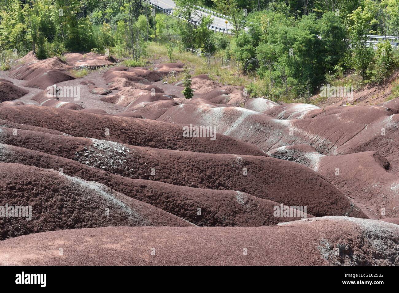 Una vista delle Badlands evidenziando diversi colori del suolo e. terreni Foto Stock