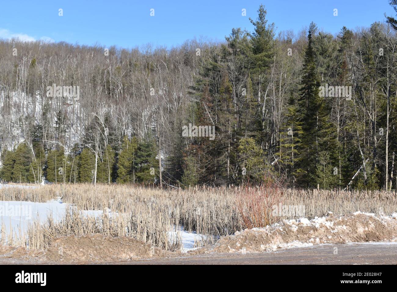 Un paesaggio invernale in Ontario Foto Stock