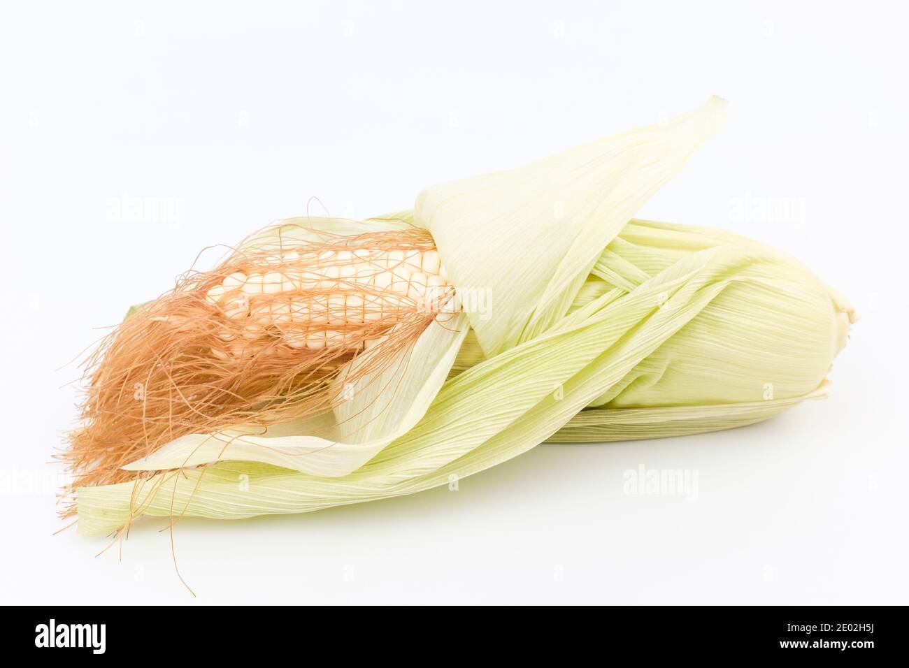 Mais crudo su sfondo bianco Foto Stock