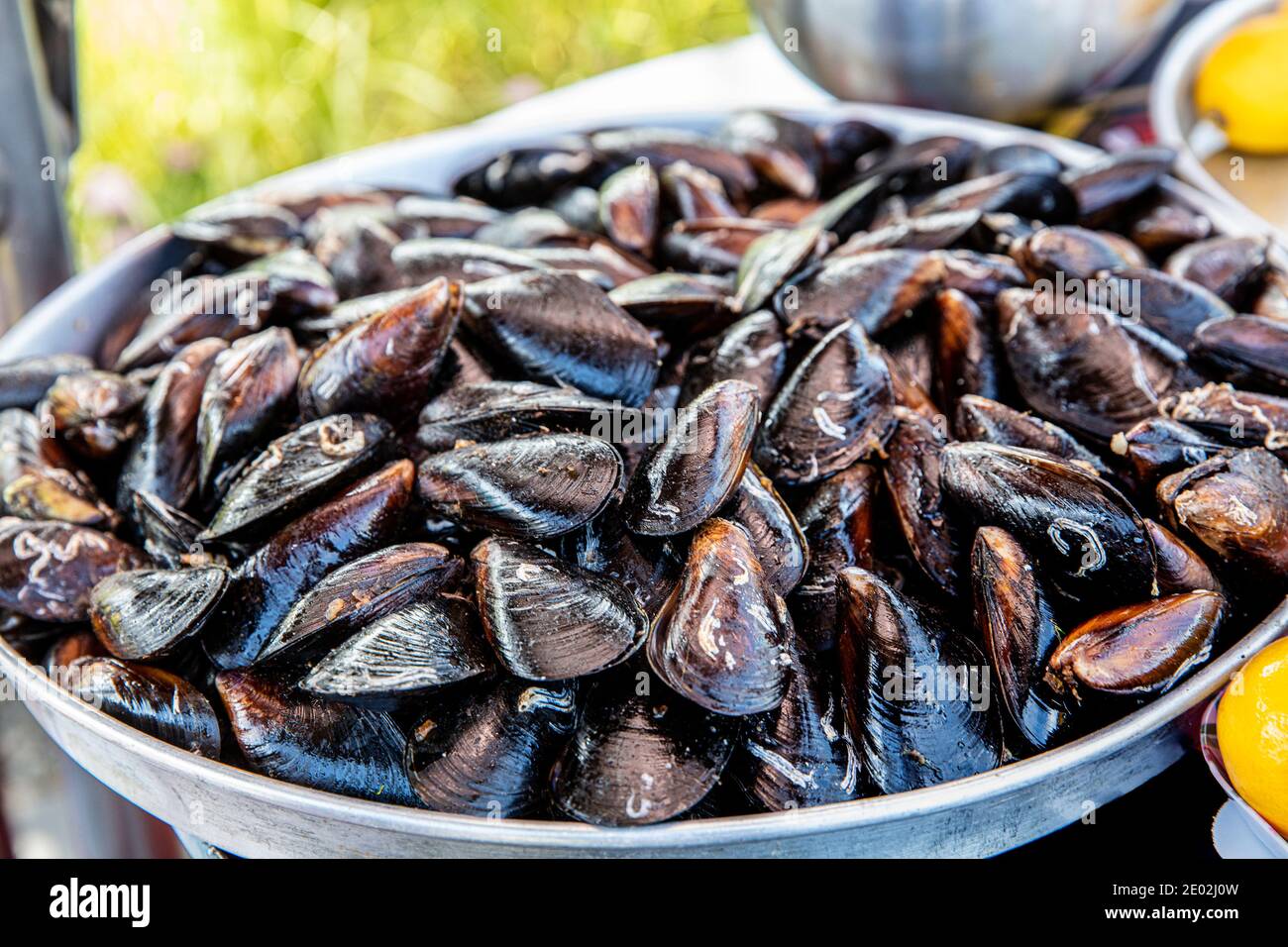 Cozze cotte. Cozze in salsa al limone. Prodotti del mare. Negozio di musiche, cozze miste e stativo di musella con limoni. Foto Stock