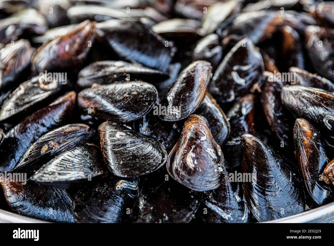 Cozze cotte. Cozze in salsa al limone. Prodotti del mare. Negozio di musiche, cozze miste e stativo di musella con limoni. Foto Stock