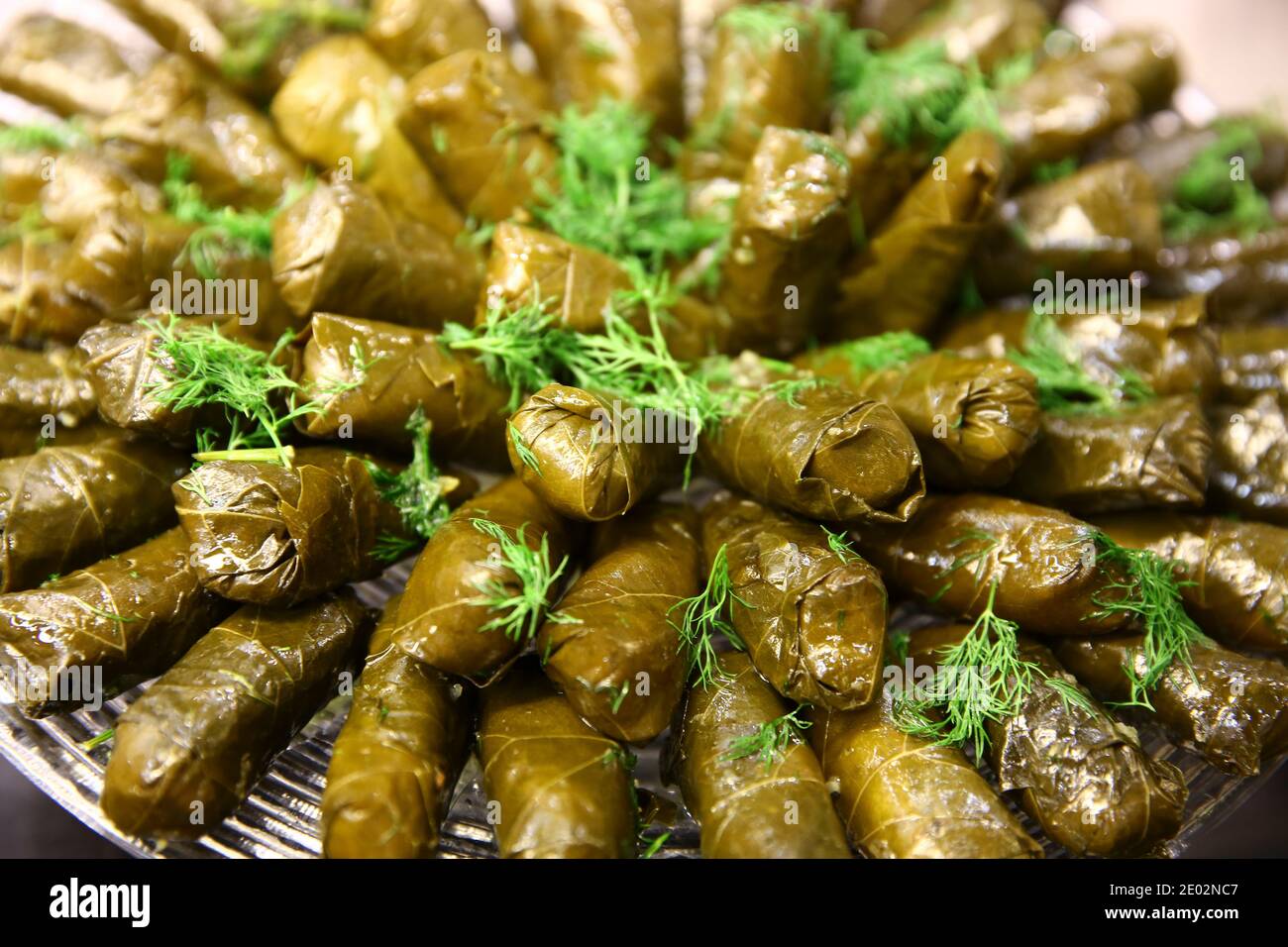 Primo piano di piatto di Sarma (anche enab di warak o Dolma) foglie di vite avvolte intorno ad un ripieno di riso e tritate carne Foto Stock