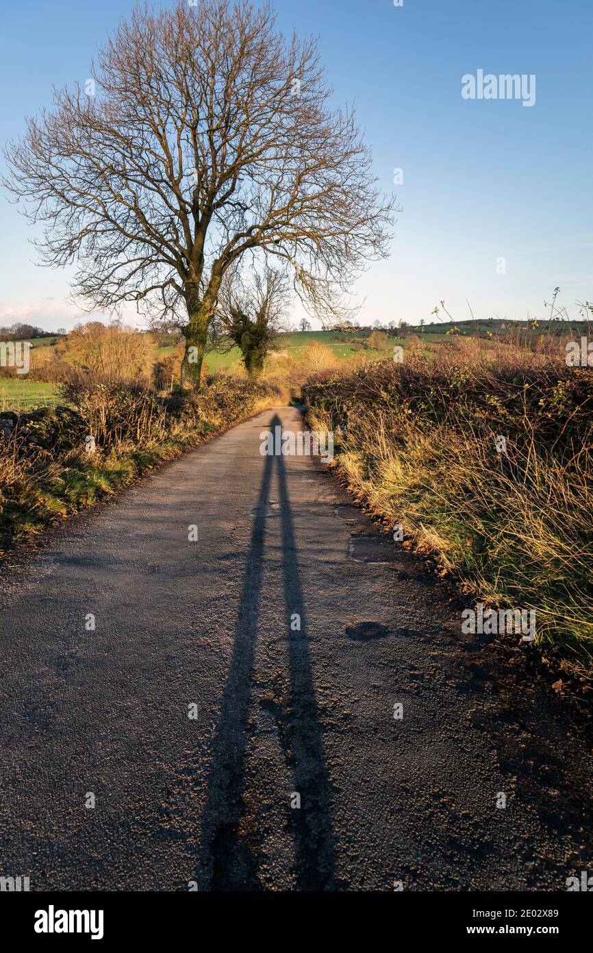 Una lunga ombra su un vicolo di campagna sotto il sole del tardo pomeriggio, Bonsall, Derbyshire Foto Stock