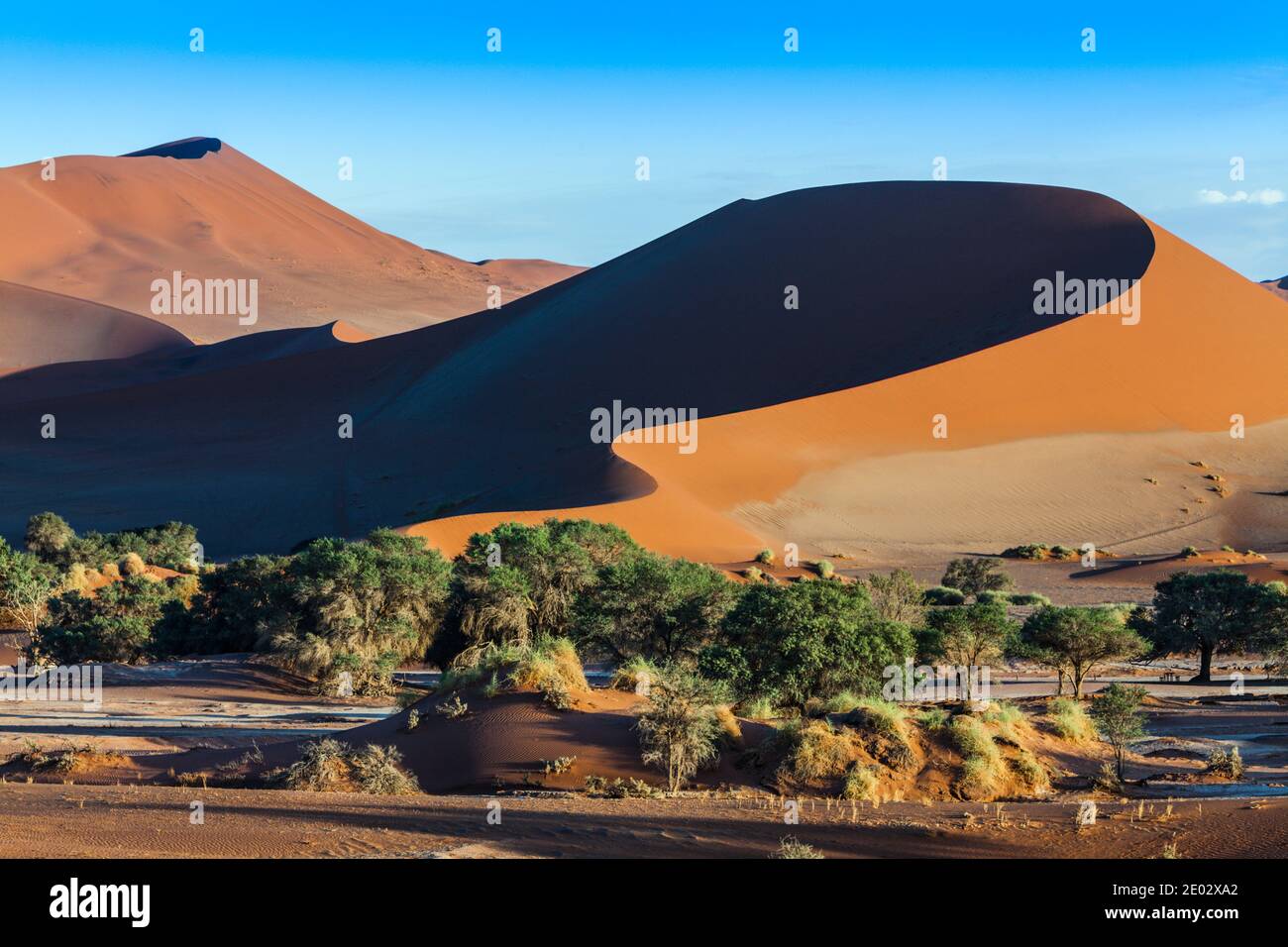 Big Mama Dune nella zona di Sossusvlei, Namib Naukluft Park, Namibia Foto Stock
