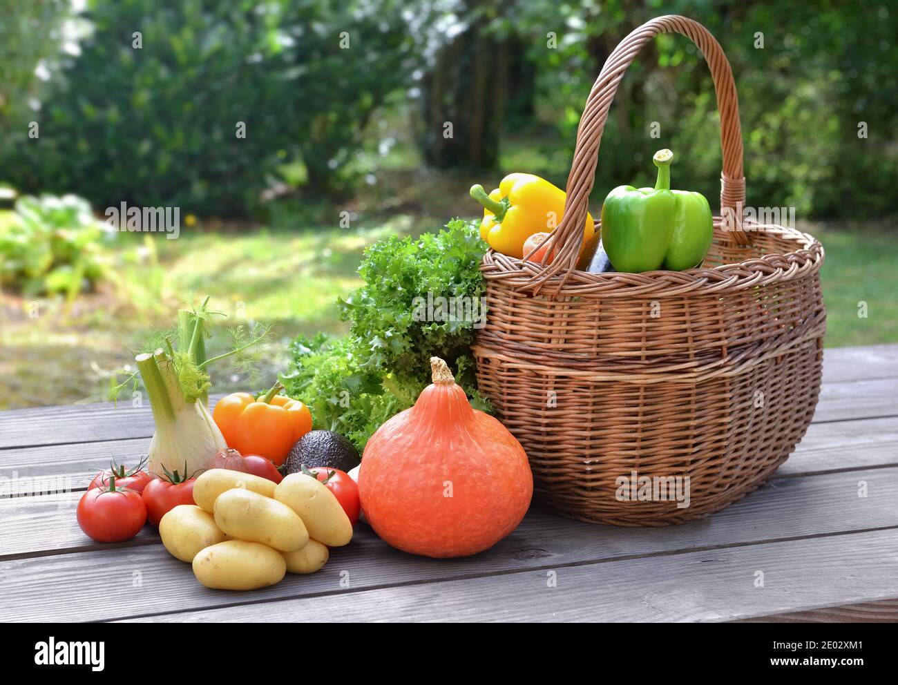verdure varie e colorate messe su un tavolo accanto a. un cestino in giardino Foto Stock