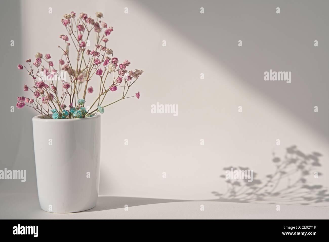 Bouquet di gypsophila rossa essiccata in vaso su sfondo bianco, decorazione  interna, spazio copia Foto stock - Alamy