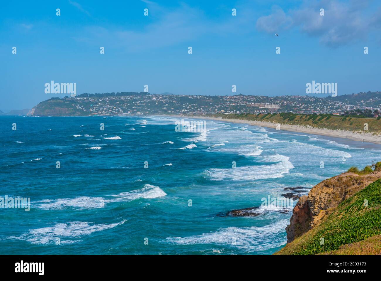 Saint Claire, Saint Kilda e le spiagge di Lawyers Head a Dunedin, Nuova Zelanda Foto Stock