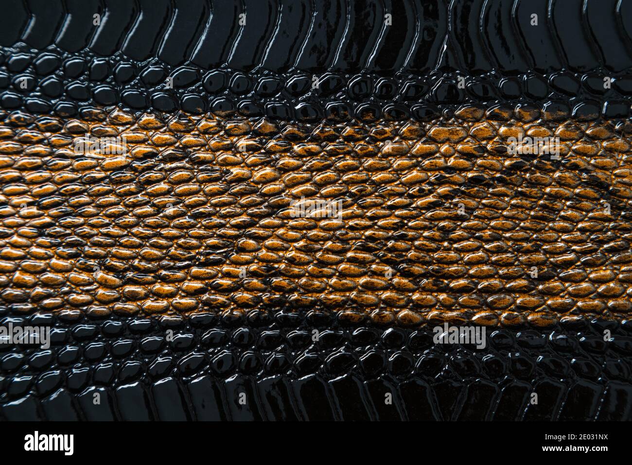 Primo piano di texture di serpente nero. Sfondo scuro della pelle rettile. Foto Stock