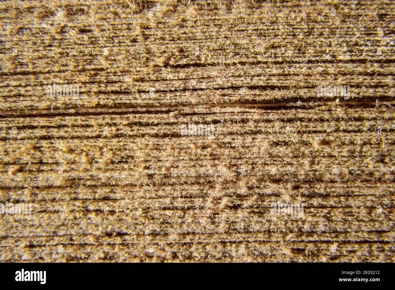Primo piano della texture delle pagine del libro. Dettaglio di vecchie fibre del libro Foto Stock