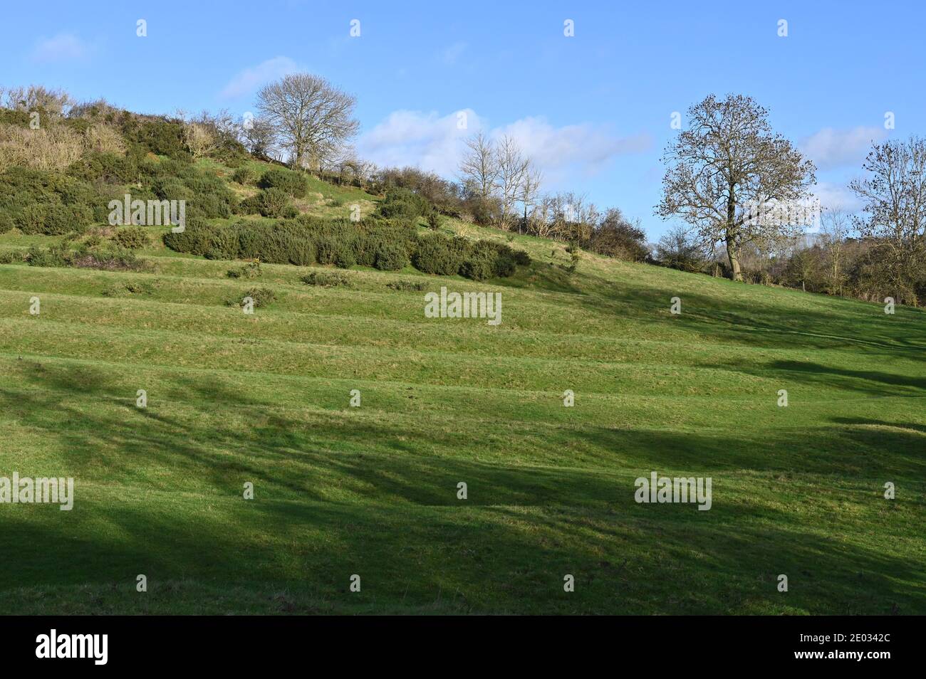 Resti di un sistema di coltivazione di cresta e solco può essere Visto su un pendio fuori del villaggio nord di Oxfordshire Shenington Foto Stock
