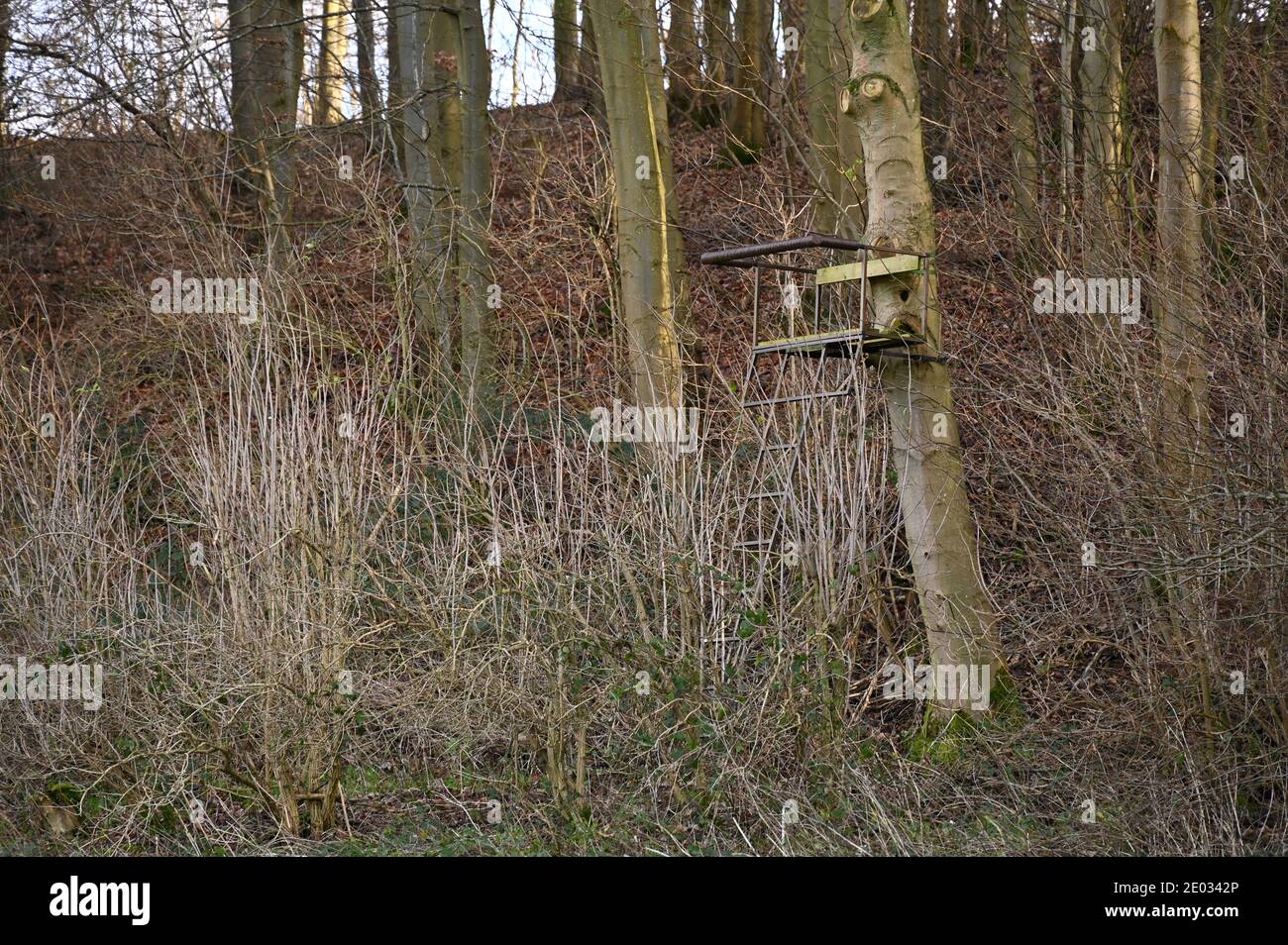 Hunter's tiro e piattaforma di osservazione sul bordo di un bosco vicino Upton House una proprietà NT vicino Banbury, Oxfordshire Foto Stock